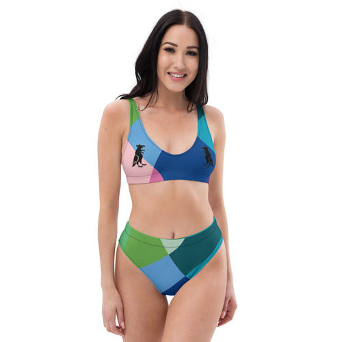 Black Geometric Pigeon Rat High-Waisted Bikini — Pigeon Rats NYC streetwear mascot design